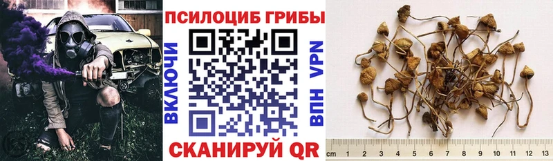 Псилоцибиновые грибы MAGIC MUSHROOMS  Купить где  Новомичуринск 